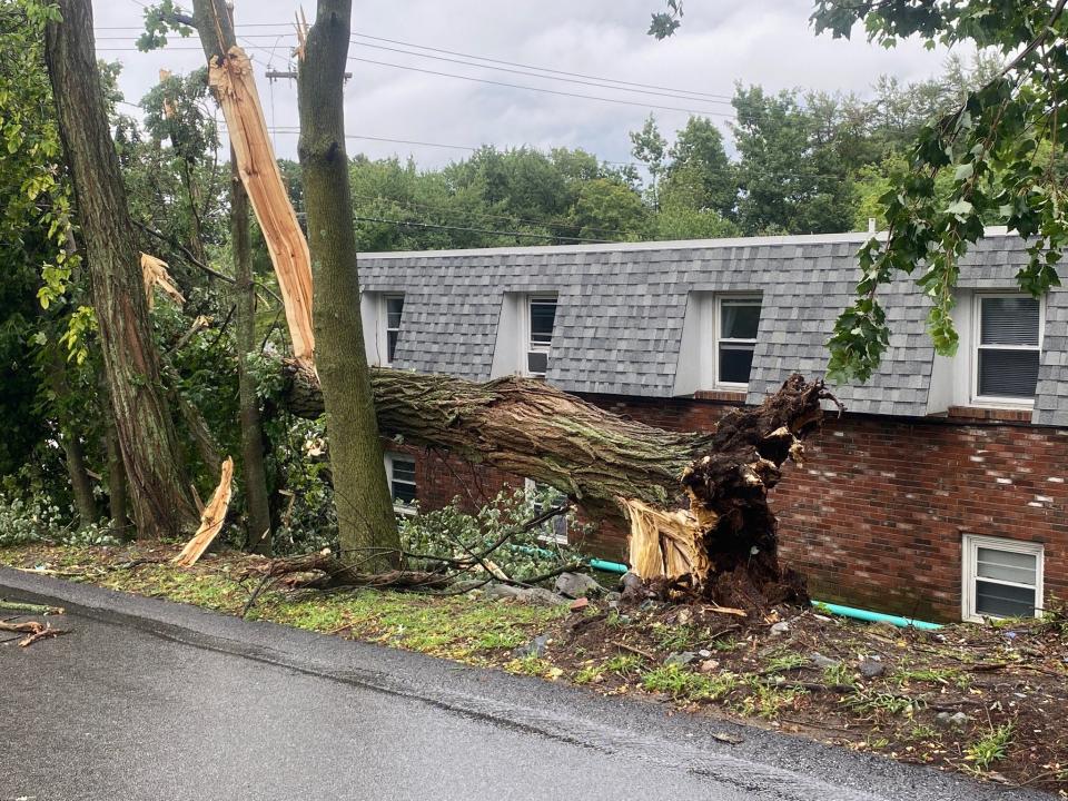 Damage after the August 18th storm at the 1500 block of Douglas Ave, North Providence