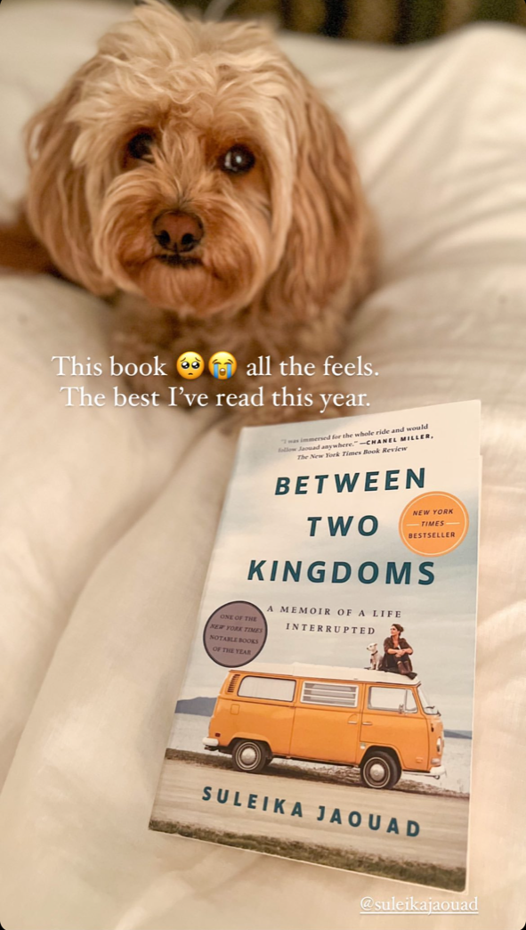 "Between Two Kingdoms" by Suleika Jaouad and a dog on a blanket.