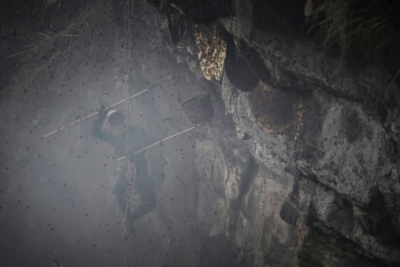 The Wider Image: Nepal's honey gatherers say fewer hives threaten tradition