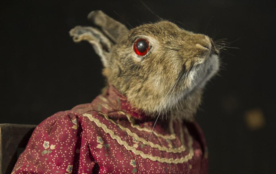 <p>Los animales disecados a veces pueden valer sumas enormes; y si son animales vestidos con ropa humana, mejor que mejor. David Legget, taxidermista y tasador de fósiles en Catawiki, señaló: “Existe un interés creciente en la taxidermia antropomórfica (animales con atributos humanos). Walter J. Potter, el famoso creador de <em>Kittens’ Tea Parties and Rabbits’ School-room</em> en la época victoriana, cada vez tiene más seguidores en Gran Bretaña. ¡Están a la orden del día los ratones bailando, las ratas con espada y las ardillas subidas a una motocicleta!”. </p>