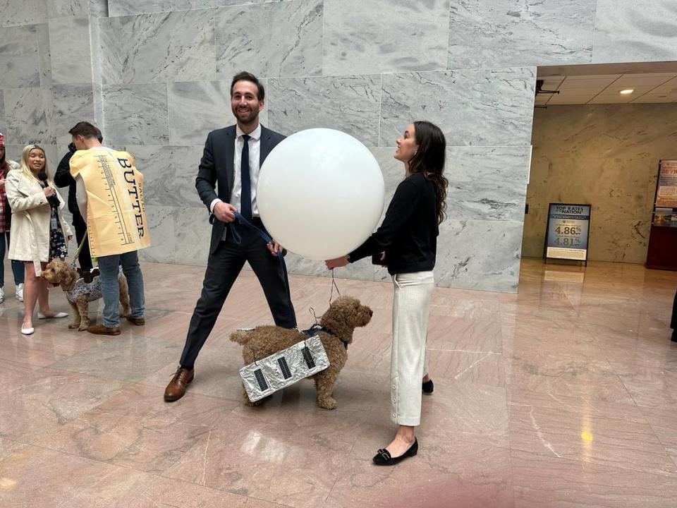 Charlie, a dog belonging to a staffer of the Senate Foreign Relations​ Committee, came to the Bipawtisan Howl-o-ween Dog Parade dressed as the spy balloon spotted over the United States earlier this year. Danielle Battaglia/dbattaglia@mcclatchy.com