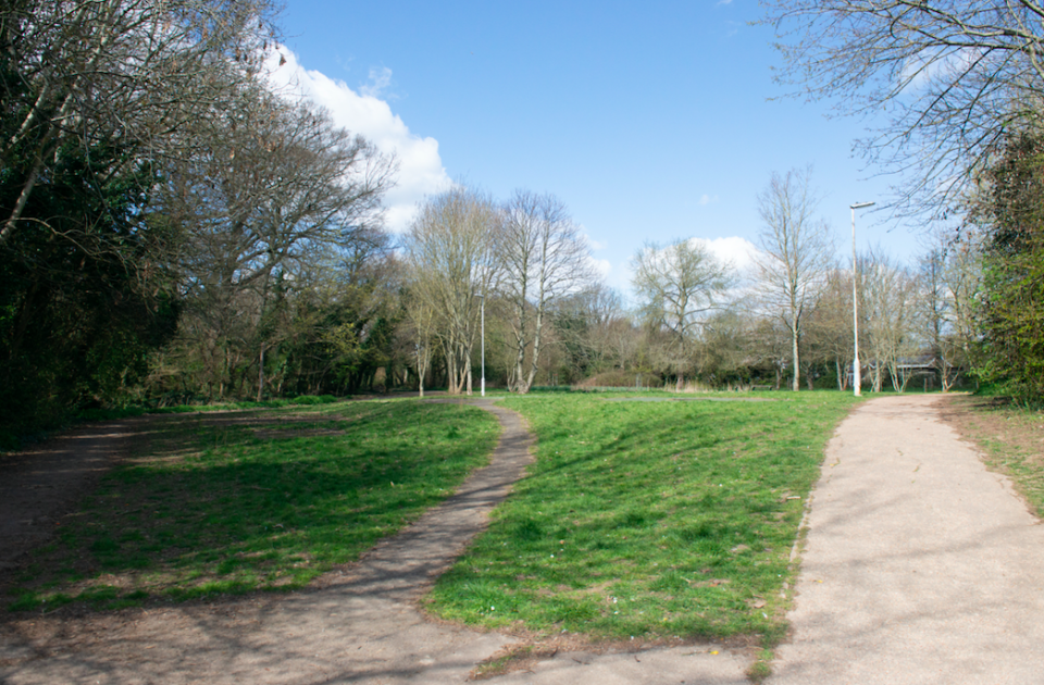 Five boys were arrested following the attack in Longcroft Park. (SWNS)