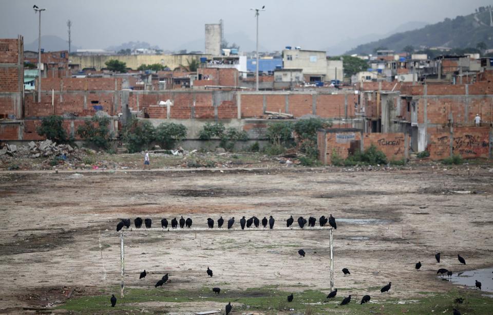 Black vultures stand on a goalpost at a soccer field at the Mare slums complex in Rio de Janeiro