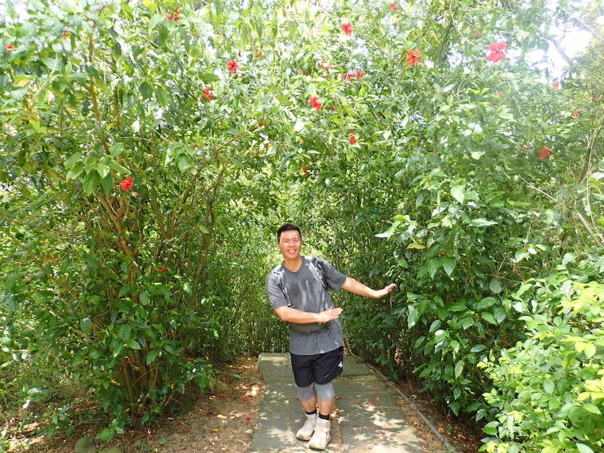 苗栗老崎古道（頭份後花園步道）