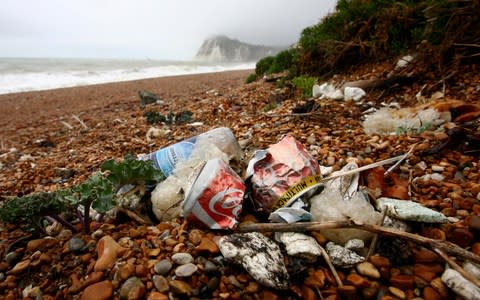 Litter-droppers ruin beaches and leave us fuming with irritation - Credit:  Gareth Fuller/PA