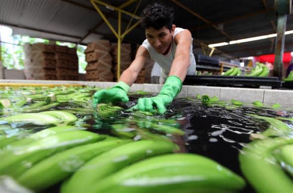 Life in Ecuador