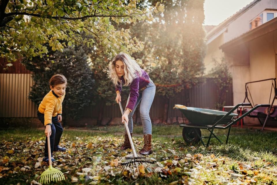 A mother and young son raking leaves in backyard, with a wheelbarrow nearby.