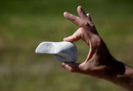 Stone collector Luigi Lineri, 79, shows a stone found along Adige river in Zevio, near Verona, Italy, June 10, 2016. REUTERS/Alessandro Bianchi