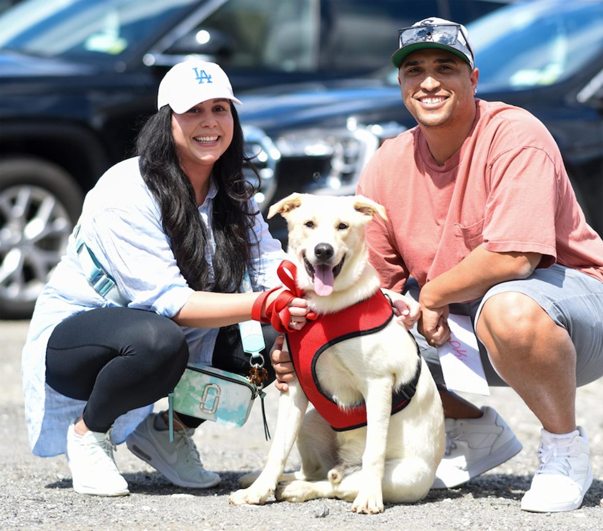 man and woman meeting dog from the puerto rico rescue flight