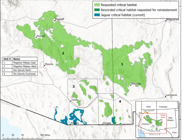 A map of areas requested for jaguar habitat in Arizona and New Mexico via a petition from the Center for Biological Diversity.