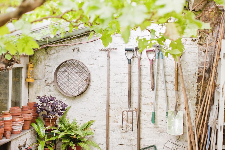 The 15 Best Gardening Tools for Beginners