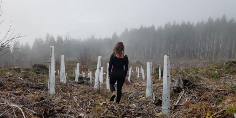 Así es la solastalgia, surge de la degradación de la naturaleza