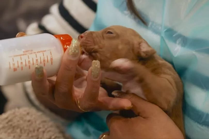 In the first episode, Alison came face to face with three day old puppy Oscar, after he had been abandoned in a bin