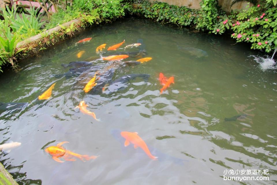 萬里淺沐道休閒農莊