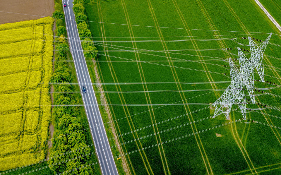 A power pole stands on a field in the outskirts of Frankfurt, Germany, Thursday, April 25, 2024. (AP Photo/Michael Probst)