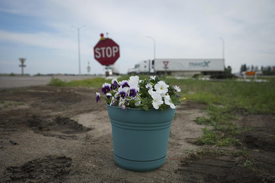 A pot of flowers marks an area where a bus carrying seniors to a casino ended up after colliding with a semi-trailer truck and burning on Thursday on the edge of the Trans-Canada Highway near Carberry, Manitoba, Friday, June 16, 2023. Police said 15 people were killed and 10 more were sent to hospital. (Darryl Dyck/The Canadian Press via AP)