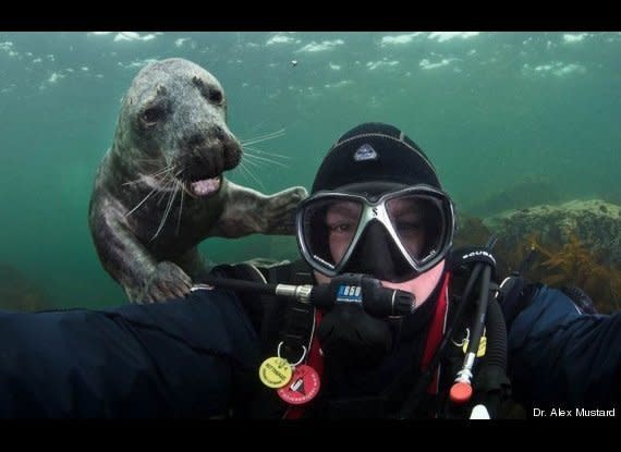 We're assuming that this guy was attempting to take an underwater selfie. 