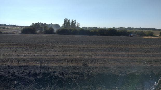 Echo: Photo shows the field scorched by the fire. Photo: Essex Fire and Rescue