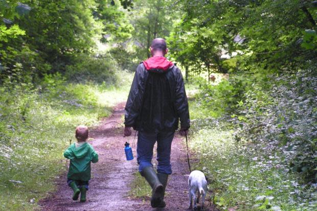 Mr Walton, a Wildlife Trust officer for Pembrokeshire and reserves manager for south west Wales, says that responsible dog owners are in a minority