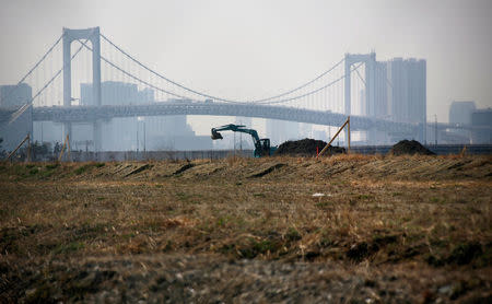 A power shovel machine is seen in front of on the Rainbow Bridge at a construction site in Tokyo, Japan March 13, 2018. REUTERS/Toru Hanai