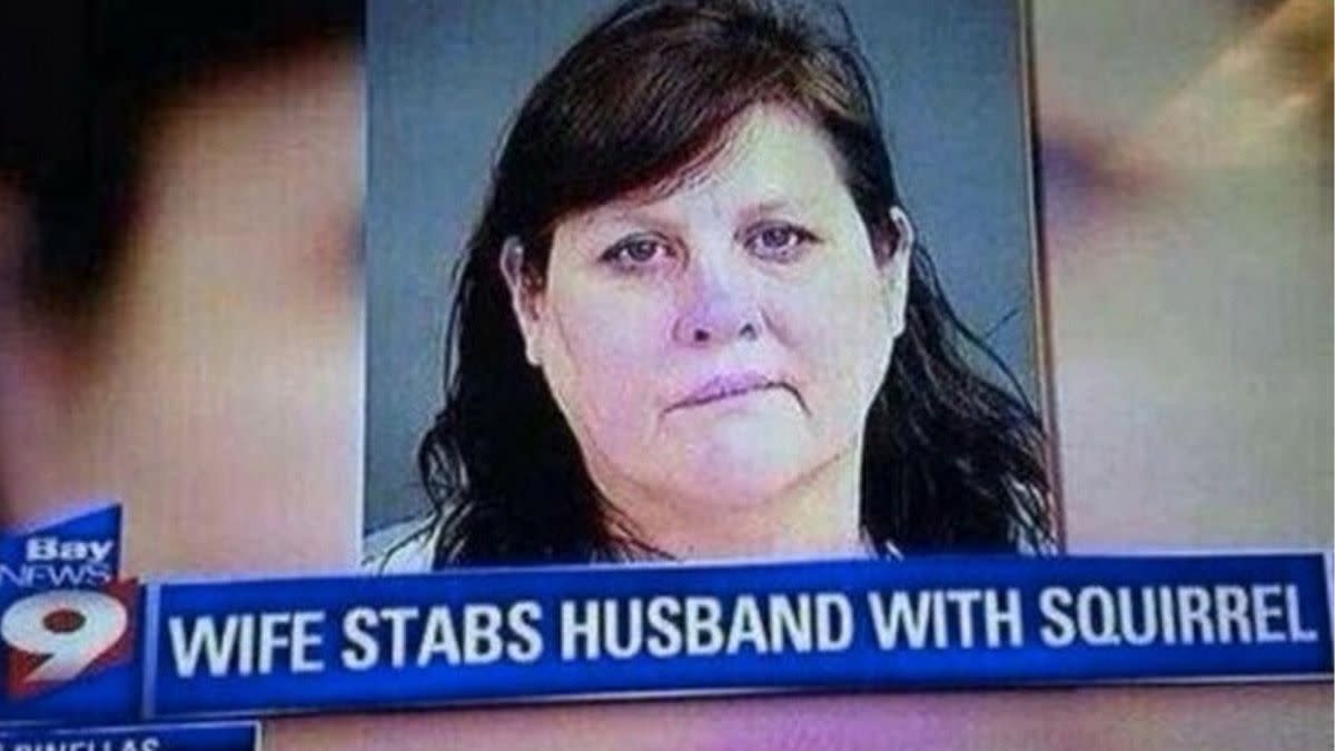 A viral picture shared online since 2013 shows a purported news headline from a Bay News 9 TV broadcast showing a mug shot of Helen Ann Williams and the words wife stabs husband with squirrel. 