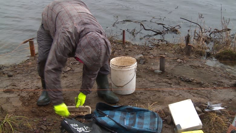 Archaeologists examine Indigenous site dating back 2,200 years on Exploits River