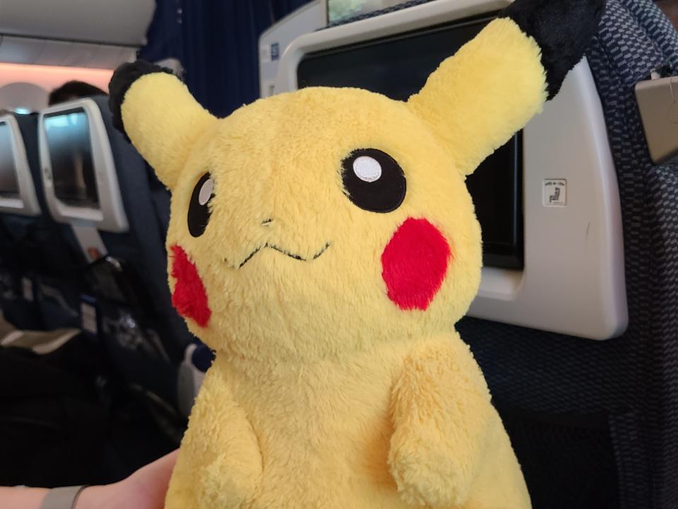 Plush pikachu on Pokemon flight 