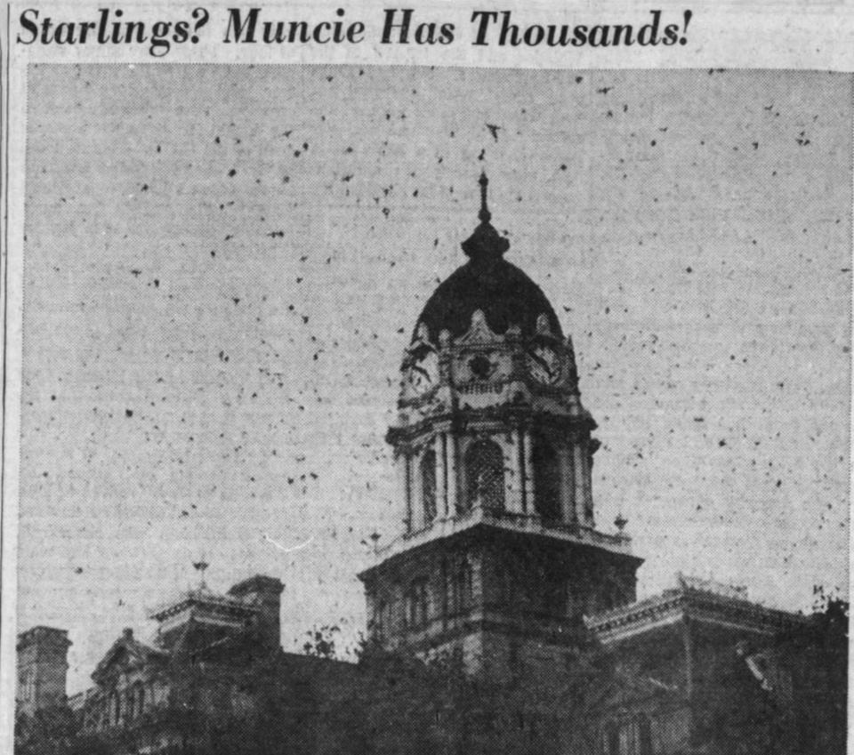 Thousands of starlings fly over the old Delaware County Courthouse in November 1957.