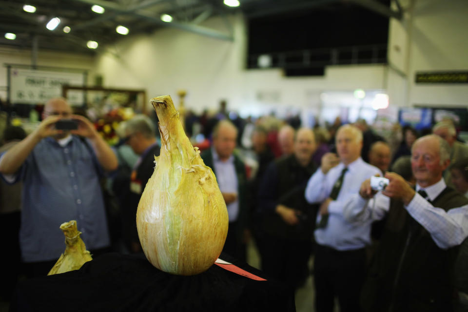 The Annual Harrogate Autumn Flower Show