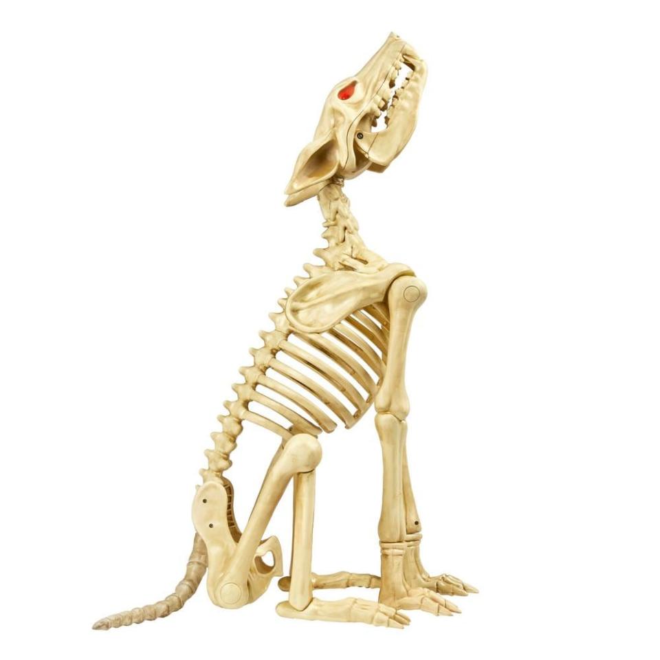 <p><a href="https://go.redirectingat.com?id=74968X1596630&url=https%3A%2F%2Fwww.homedepot.com%2Fp%2FHome-Accents-Holiday-2-5-ft-Animated-Skeleton-Wolf-with-LED-Eyes-21PA30050%2F315535154&sref=https%3A%2F%2Fwww.womenshealthmag.com%2Flife%2Fg45412968%2Foutdoor-halloween-decorations-2023%2F" rel="nofollow noopener" target="_blank" data-ylk="slk:Shop Now;elm:context_link;itc:0;sec:content-canvas" class="link ">Shop Now</a></p><p>Halloween Skeleton Wolf</p><p>homedepot.com</p><p>$39.98</p><span class="copyright">The Home Depot</span>