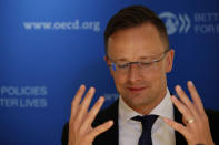 Hungarian foreign minister Peter Szijjarto speaks to Reuters days before the European elections at the OECD headquarters in Paris, France, May 23, 2019. REUTERS/Philippe Wojazer