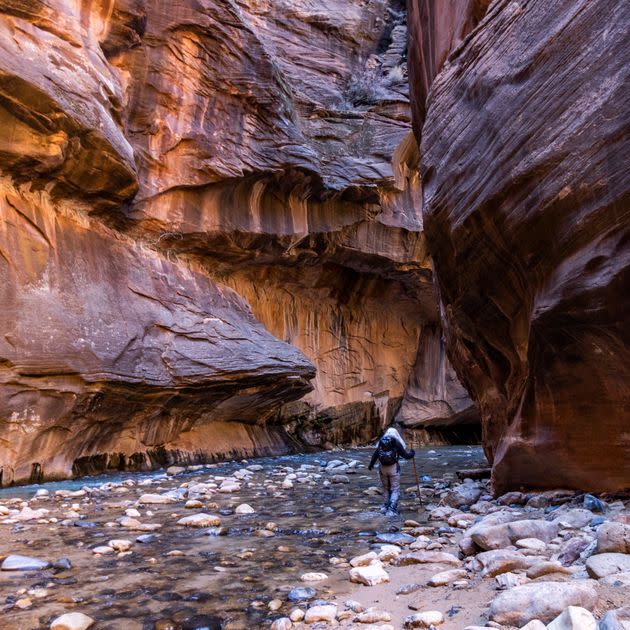 The Narrows of the Virgin River in Zion National Park.