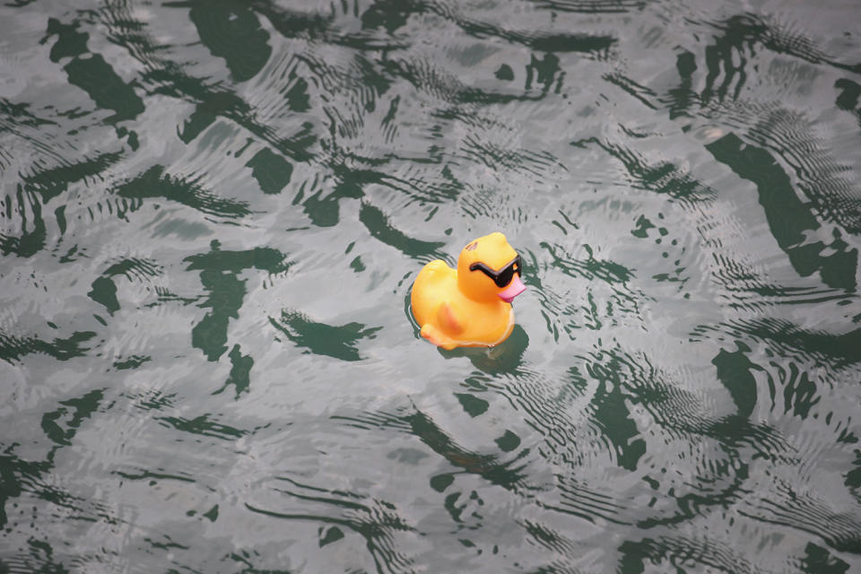 <p>A rubber duck floats down the Chicago River during the Windy City Rubber Ducky Derby on August 3, 2017 in Chicago, Illinois. (Photo: Scott Olson/Getty Images) </p>