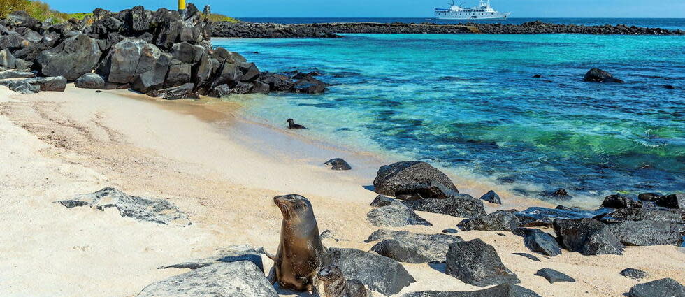 L'île Española, merveille des Galapagos.  - Credit:SL_Photography / iStockphoto / Getty Images/iStockphoto