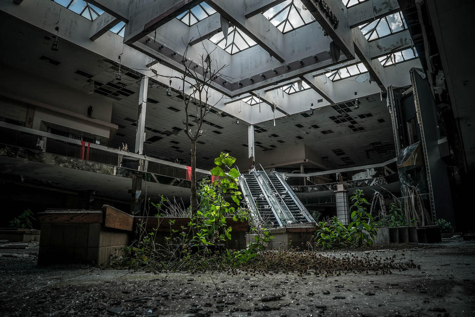<p>Abandoned overgrown mall in Ohio. (Photo: Johnny Joo/Caters News) </p>