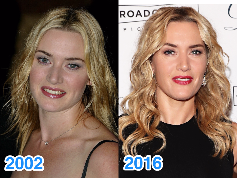 kate winslet skitch