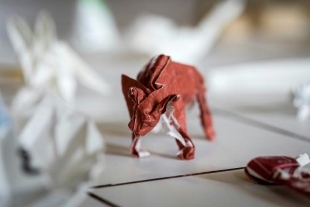 Origami is one of Japan's traditional paper craft arts.｜Fitspot