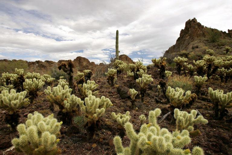 No More Deaths volunteers convicted after leaving food and water for migrants in Arizona desert