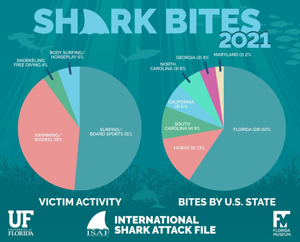 Shark bites 2021