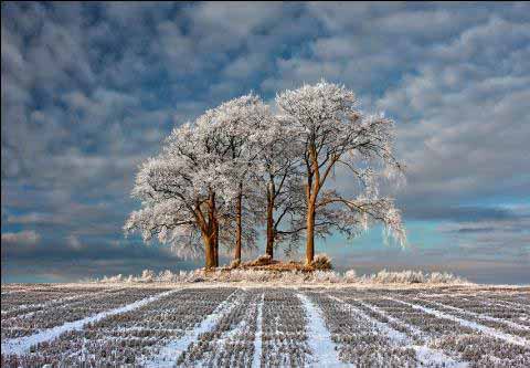 Last year, Scottish photographer Robert Fulton took the top spot with this breathtaking wintry image of snow covered crop lines leading to a cluster of frosted trees, in Stirlingshire, Scotland. He became the fifth person to win this prestigious title of Landscape Photographer of the Year and the £10,000 prize.