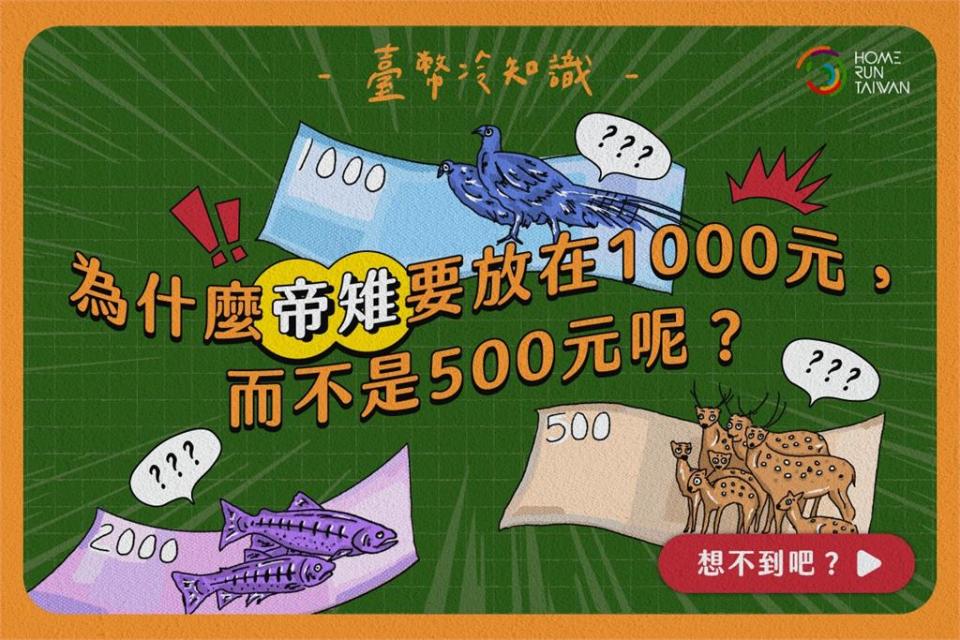 帝雉為何不印在500元上？紙鈔竟藏冷知識專家曝與「1原因有關」