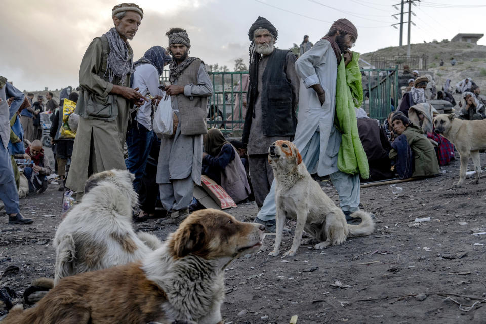 Addicted dogs sit among the hundreds of Afghans addicts who gather on the edge of a hill to consume drugs, mostly heroin and methamphetamines in the city of Kabul, Afghanistan,Wednesday, June 8, 2022. Drug addiction has long been a problem in Afghanistan, the world’s biggest producer of opium and heroin. The ranks of the addicted have been fueled by persistent poverty and by decades of war that left few families unscarred. (AP Photo/Ebrahim Noroozi)