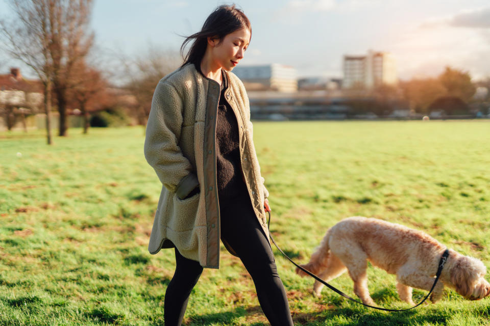 Full length, side view of young woman walking with a goldendoodle on leash at the park with beautiful sunshine. Living with pets. (Getty Images)