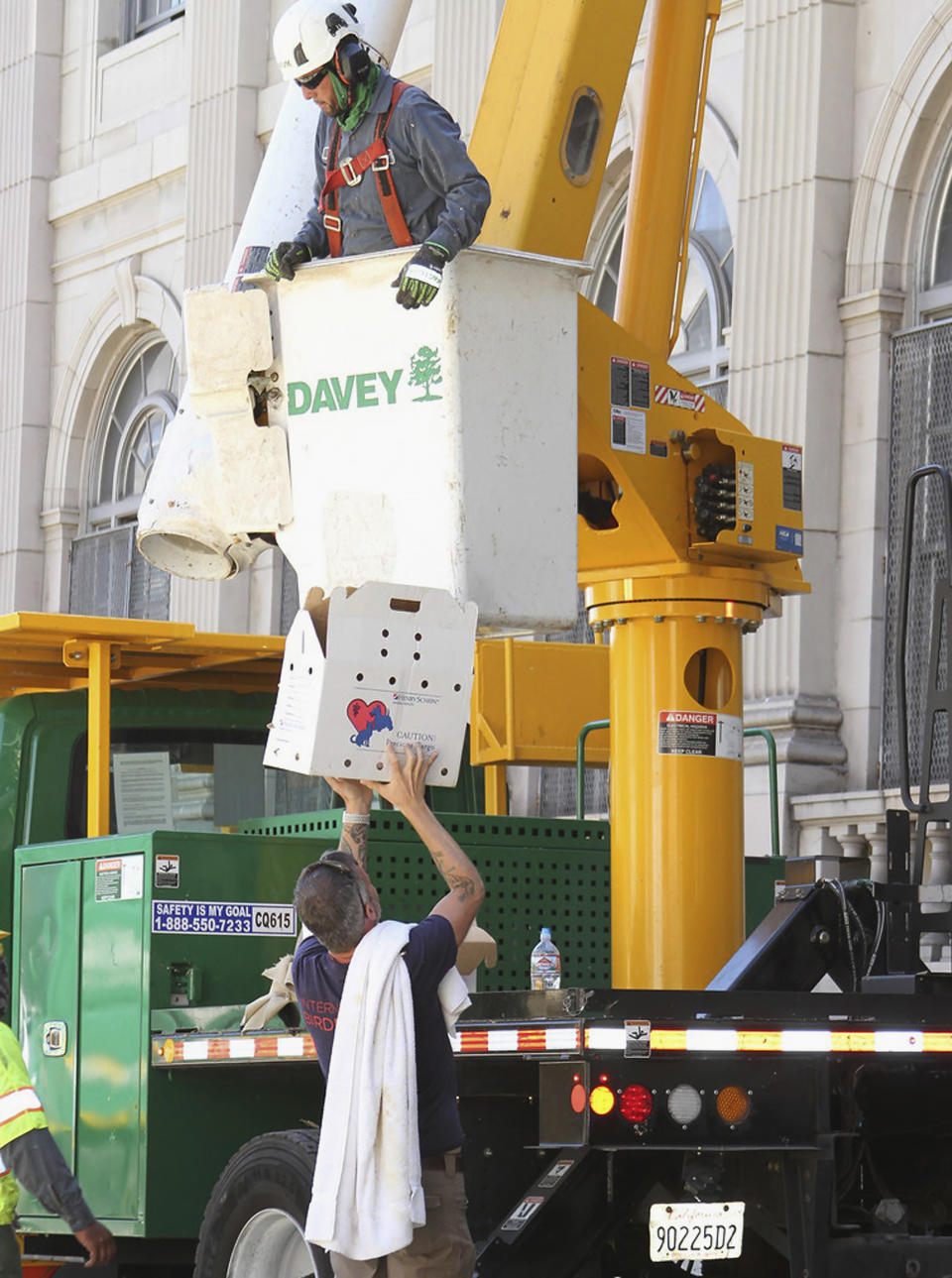 This July 11, 2019, photo released by International Bird Rescue shows a rescue team working to remove nests containing birds and eggs from a tree in Oakland, Calif. An animal rescue group is asking for help caring for baby snowy egrets and black-crowned night herons left homeless last week after a tree fell in downtown Oakland. (International Bird Rescue via AP)