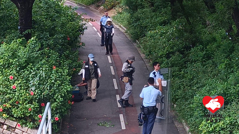 警員持盾戒備，有漁護署人員發射麻醉槍。