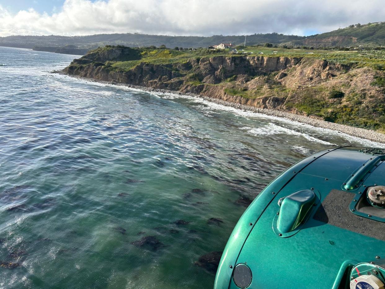 A man and his dog swam safely to the shore in Los Angeles after the plane they were on crashed into the ocean off the Rancho Palos Verdes coast on April 14, 2024, authorities said.