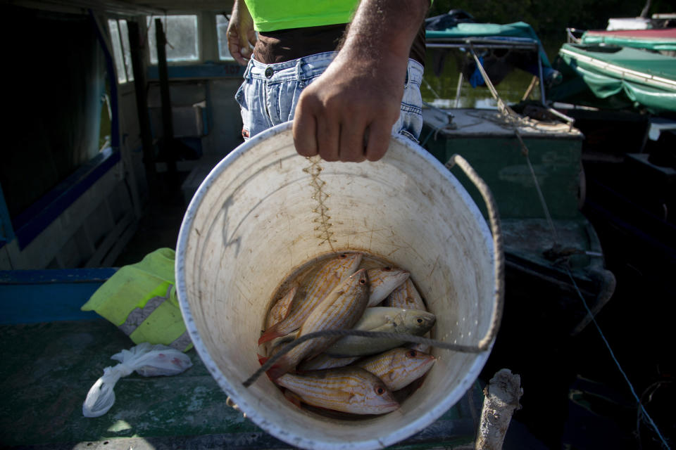 A fisherman shows his poor catch of fish in Surgidero de Batabano in Batabano, Cuba, Tuesday, Oct. 25, 2022. Cuba is suffering from longer droughts, warmer waters, more intense storms, and higher sea levels because of climate change. (AP Photo/Ismael Francisco)