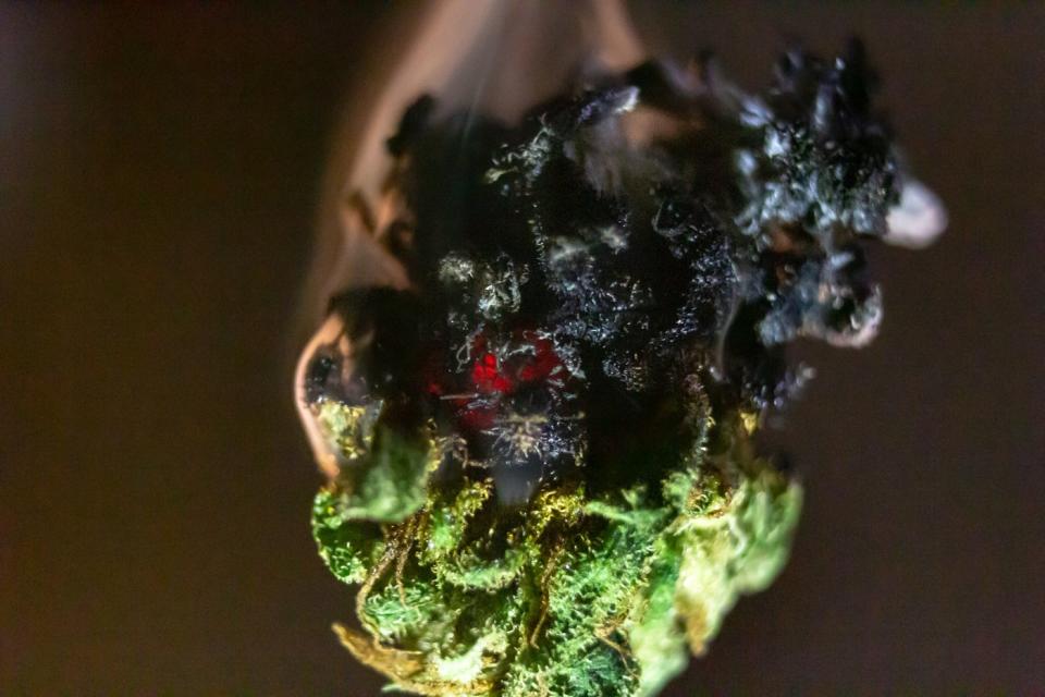 A smoldering dry cannabis bud that's beginning to turn black. 