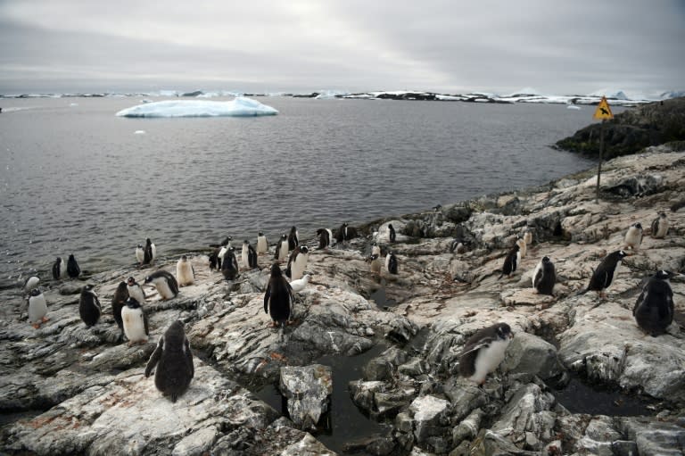 A new marine reserve aimed at protecting the pristine wilderness of Antarctica will cover more than 1.55 million square kilometres the size of Britain, Germany and France combined