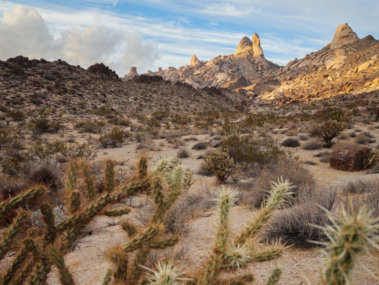 Spirit Mountain Wilderness, Nevada